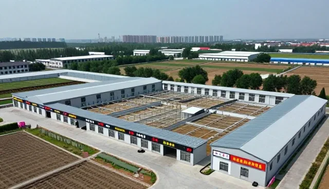 装修后软装搭配的使用与维护建议